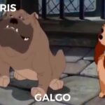 Descubre las adorables razas de perros de La Dama y el Vagabundo