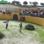 Los mejores criadores de Podencos Andaluces: ¡Descubre quiénes son!