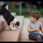¿Por qué mi perro traga saliva constantemente? Descubre las posibles causas