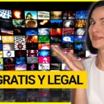 Ver películas en castellano gratis Sin registro sin límites Disfruta de cine a tu gusto